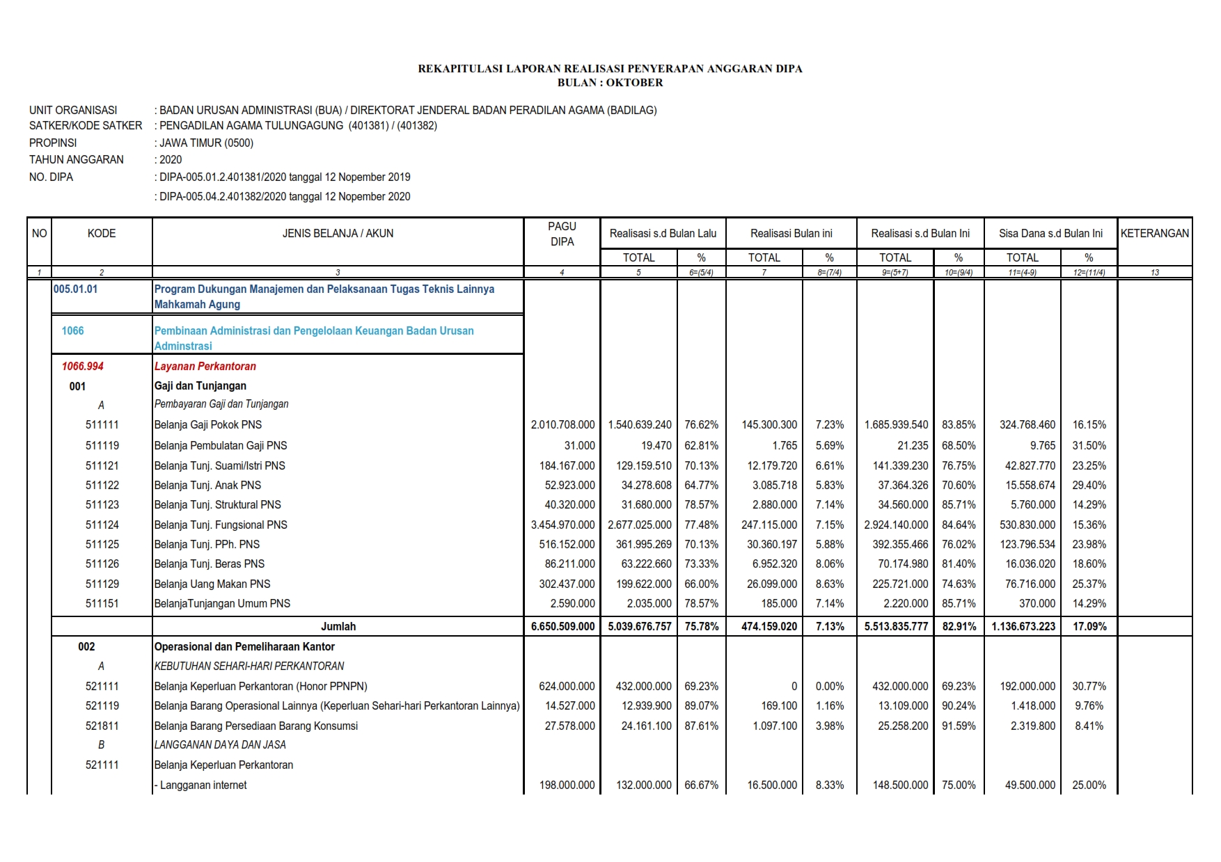 Laporan Realisasi Anggaran 10 20 001
